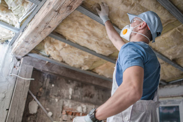 Best Commercial Insulation in Caledonia, MN