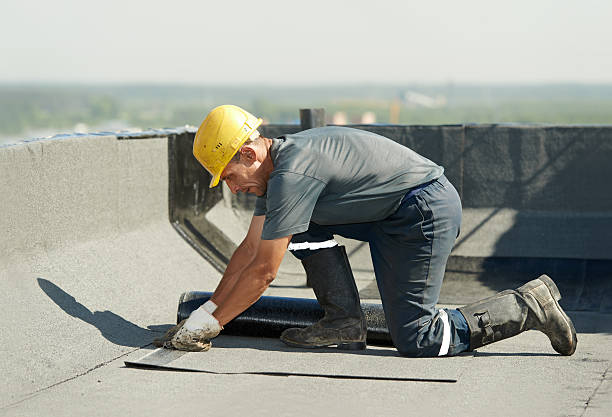 Best Insulation Installation Services in Caledonia, MN